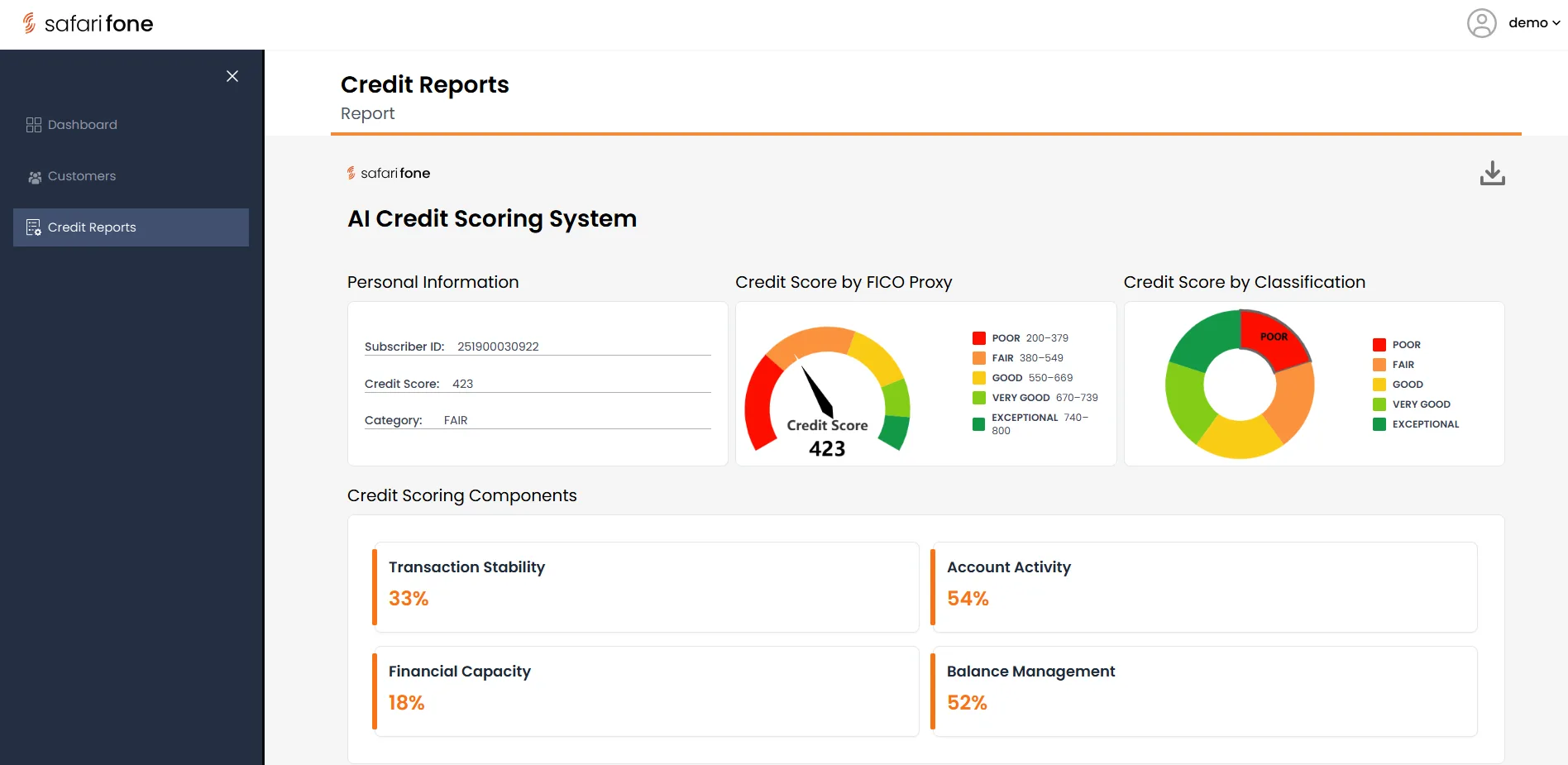 Individual subscriber credit report